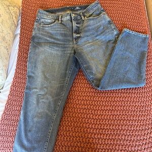Old Navy High-Rise Curvy OG Straight Jeans - Size 12